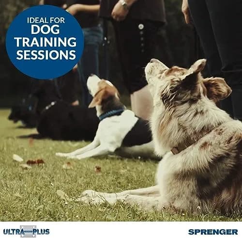 Herm Sprenger Chrome Plated Steel Training Prong Collar with Quick Release Snap for Dogs, 21-22 in (55cm) x 3mm, Neck Size UP to 18 inches thumbnail 3
