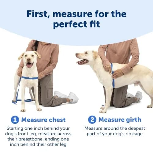 PetSafe Easy Walk Harness, No Pull Dog Harness, Royal Blue, Large | Lightweight, Breathable & Durable thumbnail 4