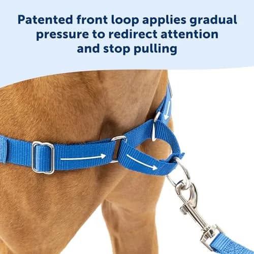 PetSafe Easy Walk Harness, No Pull Dog Harness, Royal Blue, Large | Lightweight, Breathable & Durable thumbnail 6