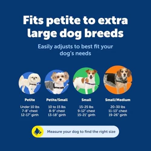 PetSafe Easy Walk Harness, No Pull Dog Harness, Royal Blue, Large | Lightweight, Breathable & Durable thumbnail 2