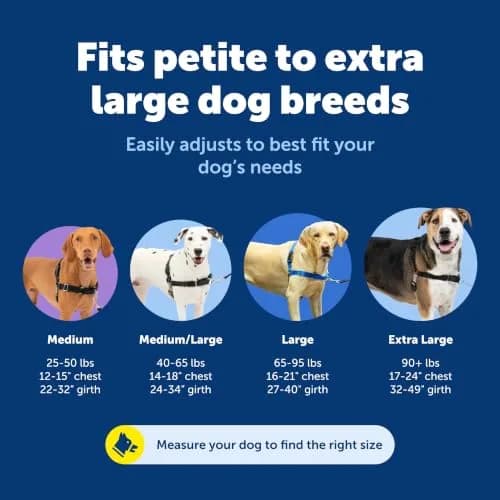 PetSafe Easy Walk Harness, No Pull Dog Harness, Royal Blue, Large | Lightweight, Breathable & Durable thumbnail 3