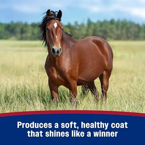 Farnam Laser Sheen Dazzling Shine & Detangler Concentrate for Horses 12 oz | Radiant Showring Shine & Mane Detangler thumbnail 7