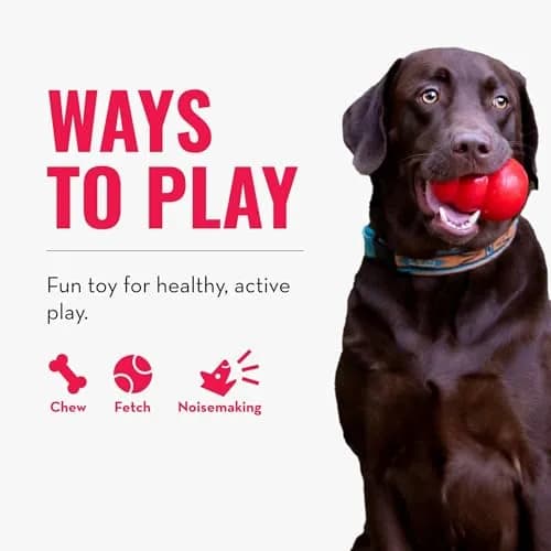 KONG Squeakair Balls Dog Toy Premium Squeak Tennis Balls Gentle on Teeth for Medium Dogs (3 Pack, Yellow) thumbnail 5