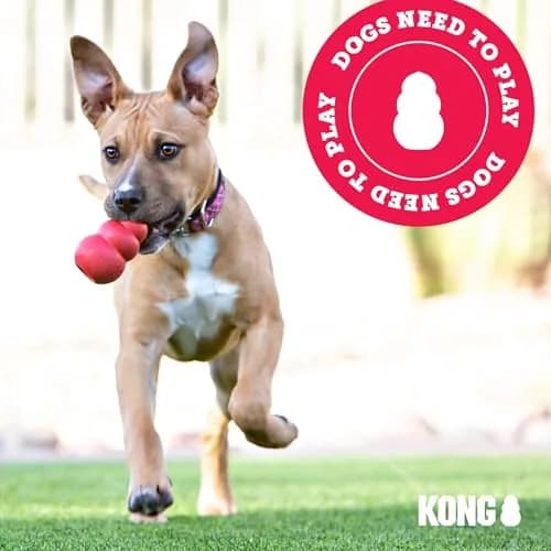 KONG Squeakair Balls Dog Toy Premium Squeak Tennis Balls Gentle on Teeth for Medium Dogs (3 Pack, Yellow) thumbnail 7