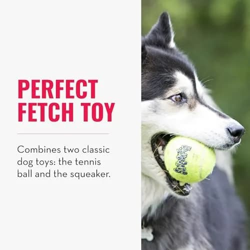 KONG Squeakair Balls Dog Toy Premium Squeak Tennis Balls Gentle on Teeth for Medium Dogs (3 Pack, Yellow) thumbnail 3