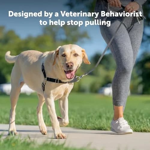 PetSafe Easy Walk Harness for Dogs - Pull-Free Walks - Breathable, Large, Red/Black | Patented Martingale Loop Design thumbnail 5