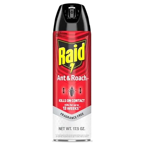 Raid Ant & Roach Killer Fragrance Free 17.5oz (496ml) | Kills Bugs on Contact thumbnail 1
