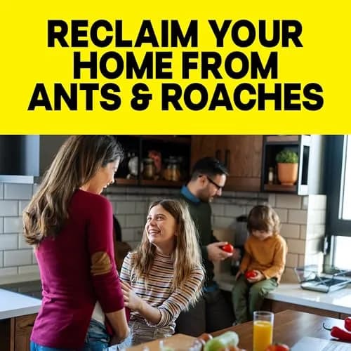 Raid Ant & Roach Killer Fragrance Free 17.5oz (496ml) | Kills Bugs on Contact thumbnail 4