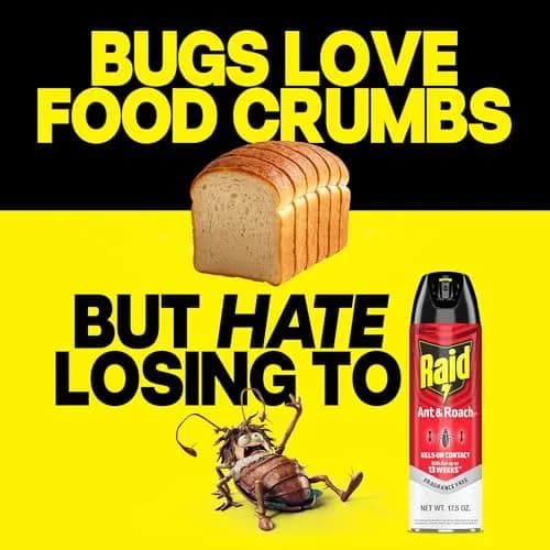 Raid Ant & Roach Killer Fragrance Free 17.5oz (496ml) | Kills Bugs on Contact thumbnail 5