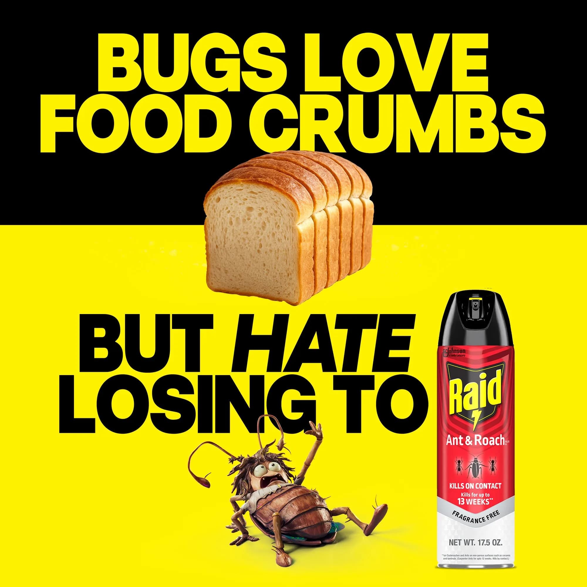 Raid Ant & Roach Killer Fragrance Free 17.5oz (496ml) | Kills Bugs on Contact - view 5