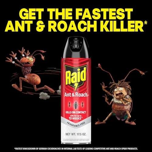 Raid Ant & Roach Killer Fragrance Free 17.5oz (496ml) | Kills Bugs on Contact thumbnail 6