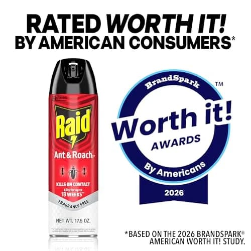 Raid Ant & Roach Killer Fragrance Free 17.5oz (496ml) | Kills Bugs on Contact thumbnail 8