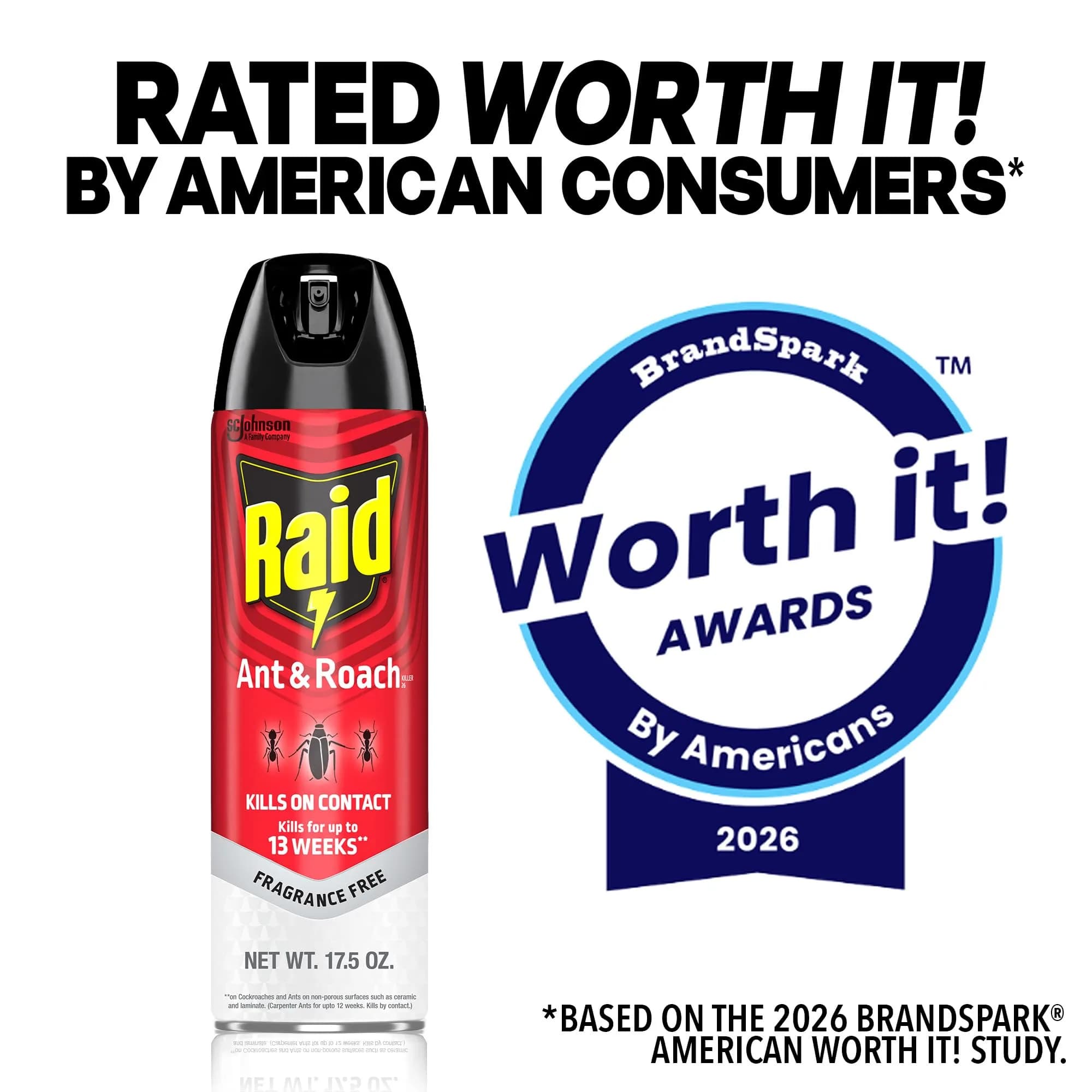 Raid Ant & Roach Killer Fragrance Free 17.5oz (496ml) | Kills Bugs on Contact - view 8
