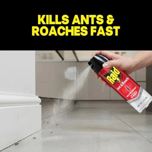 Raid Ant & Roach Killer Fragrance Free 17.5oz (496ml) | Kills Bugs on Contact thumbnail 2