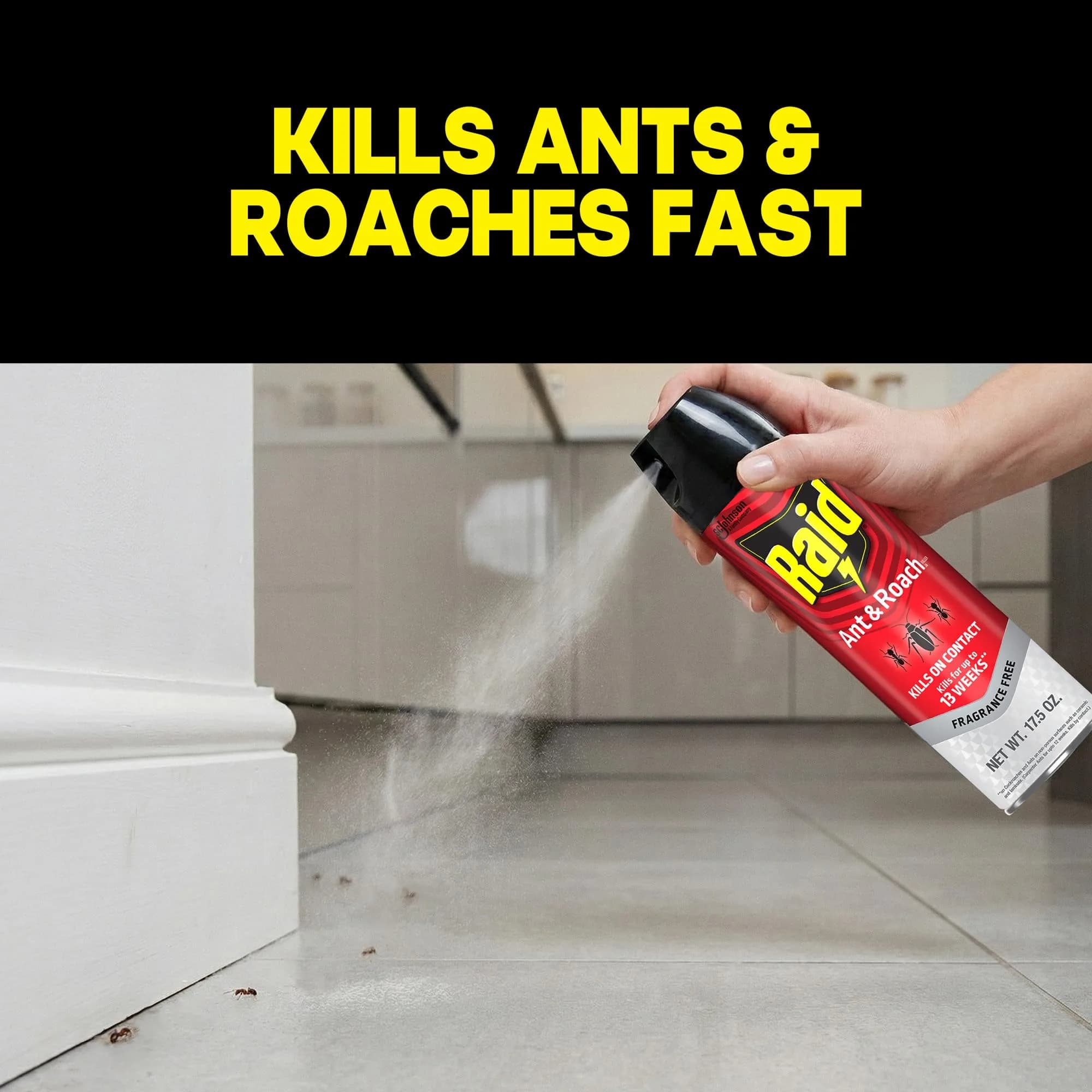 Raid Ant & Roach Killer Fragrance Free 17.5oz (496ml) | Kills Bugs on Contact - view 2