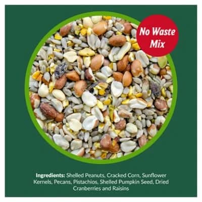 Lyric Woodpecker Wild Bird Seed Mix 2.27 kg (5 lb) | No-Waste Fruit & Nut Blend for All Wild Birds thumbnail 9