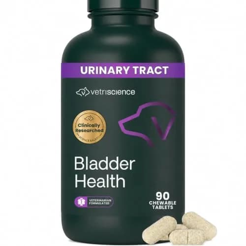 VetriScience Bladder Health for Dogs 90 Count Chewable Tablets | Supports Urinary Tract Health & Reduces Leakage thumbnail 1
