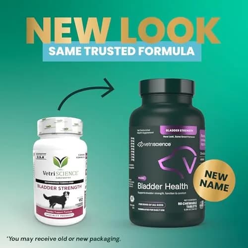 VetriScience Bladder Health for Dogs 90 Count Chewable Tablets | Supports Urinary Tract Health & Reduces Leakage thumbnail 2