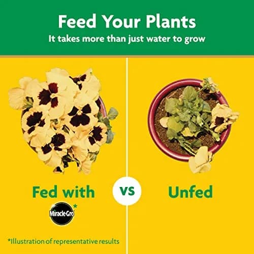 Miracle-Gro Water Soluble All Purpose Plant Food 3 lb. (1.36 kg) | Feeds All Plants Instantly thumbnail 8