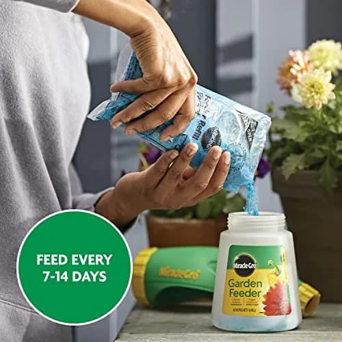 Miracle-Gro Water Soluble All Purpose Plant Food 3 lb. (1.36 kg) | Feeds All Plants Instantly thumbnail 9