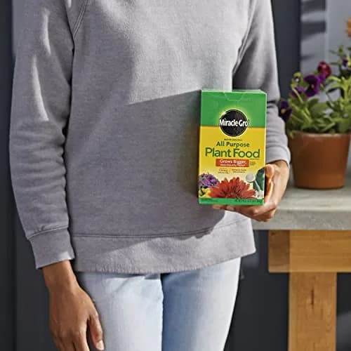 Miracle-Gro Water Soluble All Purpose Plant Food 3 lb. (1.36 kg) | Feeds All Plants Instantly thumbnail 3