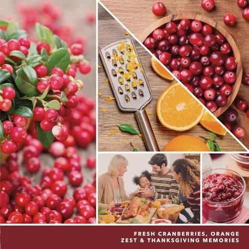 Yankee Candle Cranberry Chutney 22oz Large Jar Candle | Over 110 Hours Burn Time, Autumn Scent for Home thumbnail 2