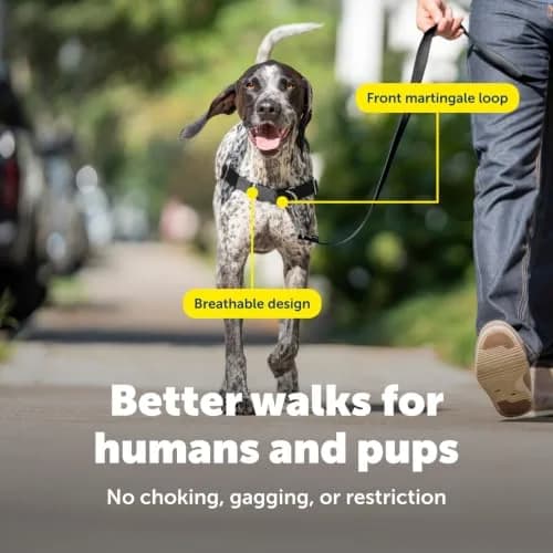 PetSafe Easy Walk Harness, No Pull Dog Harness, Black, Medium/Large | Lightweight, Breathable & Durable thumbnail 4