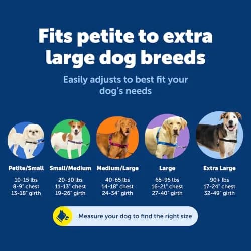 PetSafe Easy Walk Harness, No Pull Dog Harness, Black, Medium/Large | Lightweight, Breathable & Durable thumbnail 5