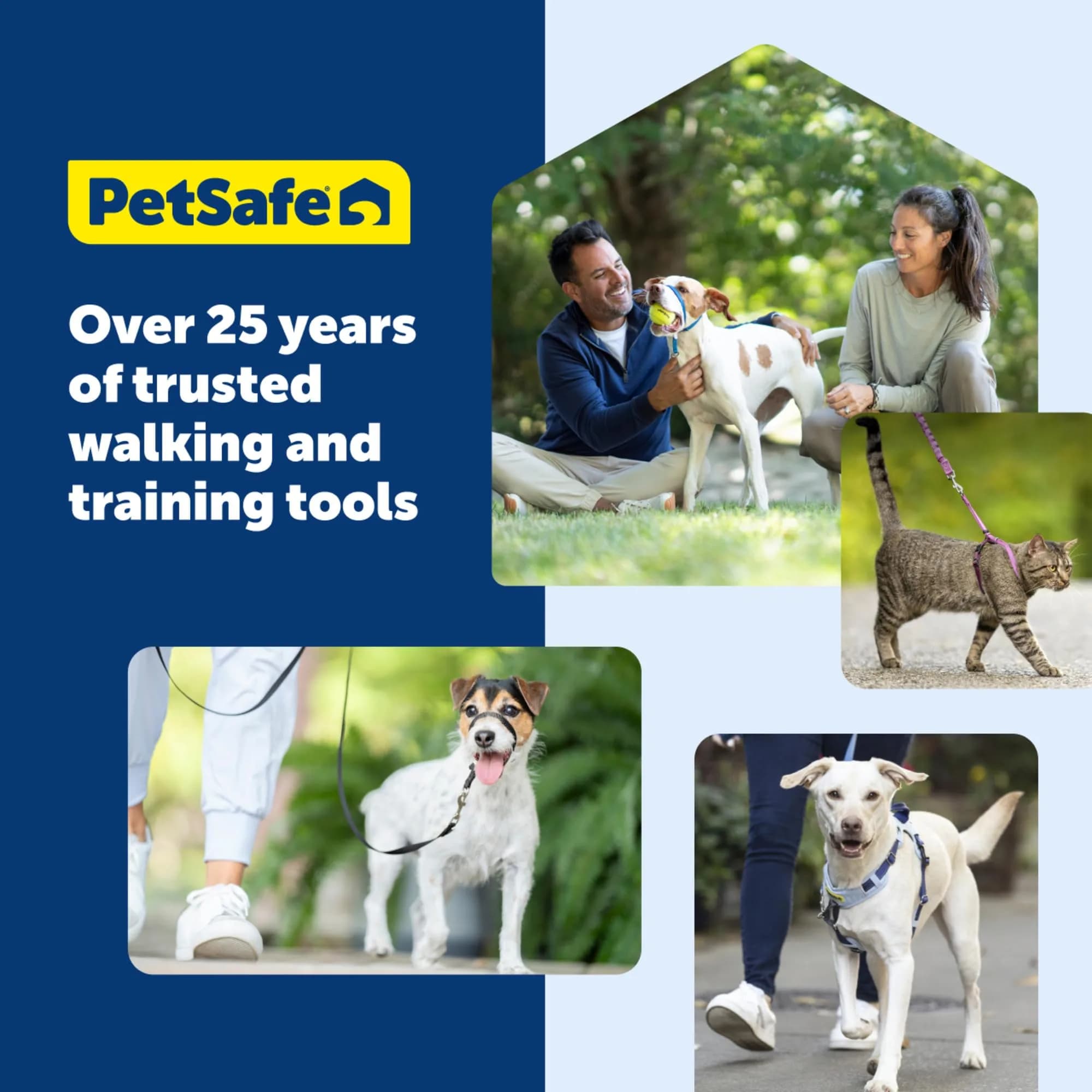 PetSafe Easy Walk Harness, No Pull Dog Harness, Black, Medium/Large | Lightweight, Breathable & Durable - view 8