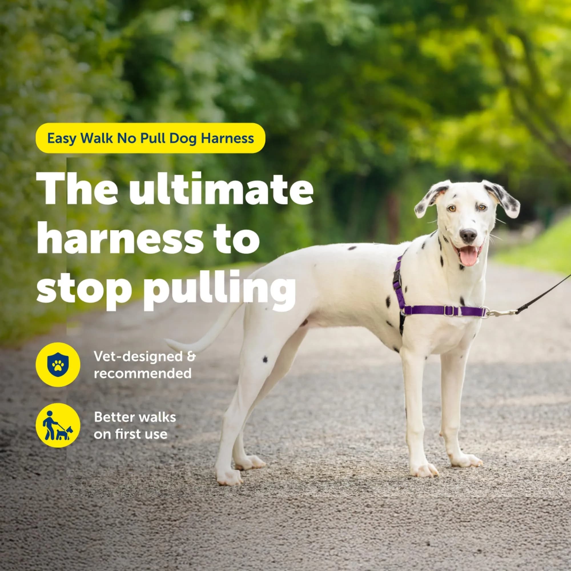 PetSafe Easy Walk Harness, No Pull Dog Harness, Black, Medium/Large | Lightweight, Breathable & Durable - view 2