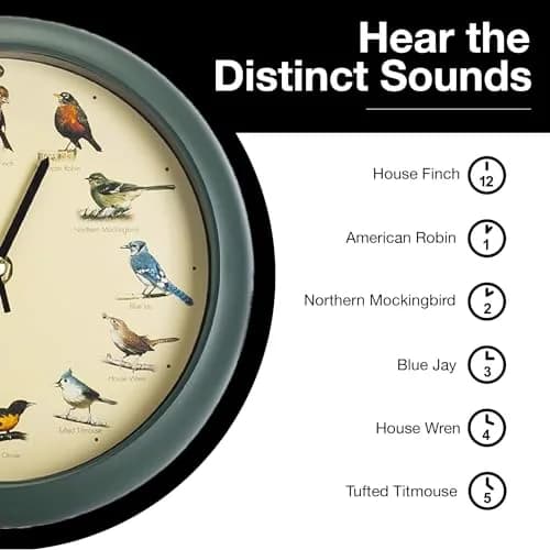 Mark Feldstein & Associates Green Singing Bird Clock 8 inch (20.3 cm) | 12 Real Bird Songs Hourly, Silent After Dark thumbnail 5