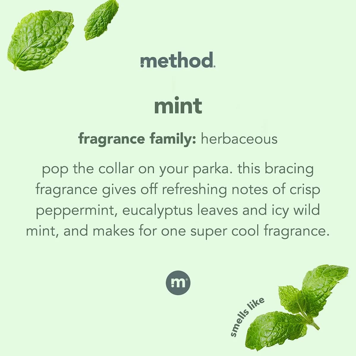 Method Glass Cleaner Spray, Mint, 224 fl oz (8 x 28 fl oz) | Streak-Free Shine for All Glass Surfaces - view 3