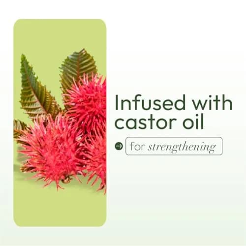 ORS Olive Oil Fortifying Cream Hair Dress, 6 oz | Moisturizes & Strengthens Dry Hair thumbnail 6