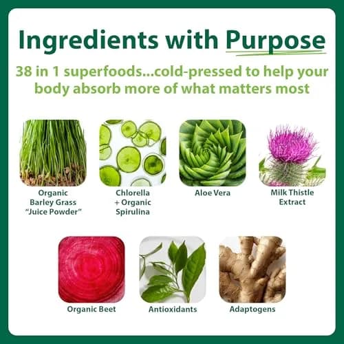 MacroLife Naturals Macro Greens Superfood Powder, 30 Servings (10oz) | Organic, Vegan, Antioxidant Support thumbnail 2