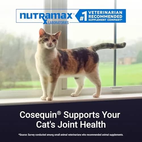 Cosequin Joint Supplement for Cats, Easy Sprinkle Capsule 80ct | Vet-Recommended USA Import for Joint Health thumbnail 3