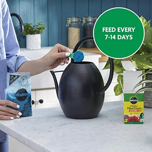 Miracle-Gro Water Soluble All Purpose Plant Food 255g (8 oz) | Feeds Plants Instantly for Bigger Growth thumbnail 9