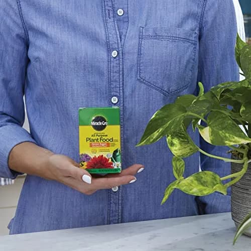 Miracle-Gro Water Soluble All Purpose Plant Food 255g (8 oz) | Feeds Plants Instantly for Bigger Growth thumbnail 3