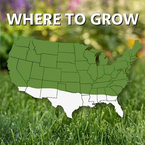 Jonathan Green Fast Grow Grass Seed Mixture 3.17 kg (7 lb) | Quick Turf for Cool Season Lawns thumbnail 4