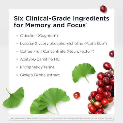 Designs for Health Brain Vitale Supports Focus 60 Capsules | Cognitive & Brain Support thumbnail 3
