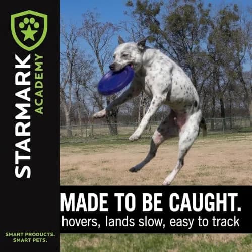 Starmark EasyGlide DuraFoam Flying Disc Dog Toy 11-inch | Soft, Durable & Floats thumbnail 6