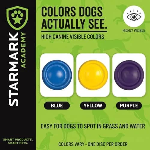 Starmark EasyGlide DuraFoam Flying Disc Dog Toy 11-inch | Soft, Durable & Floats thumbnail 3