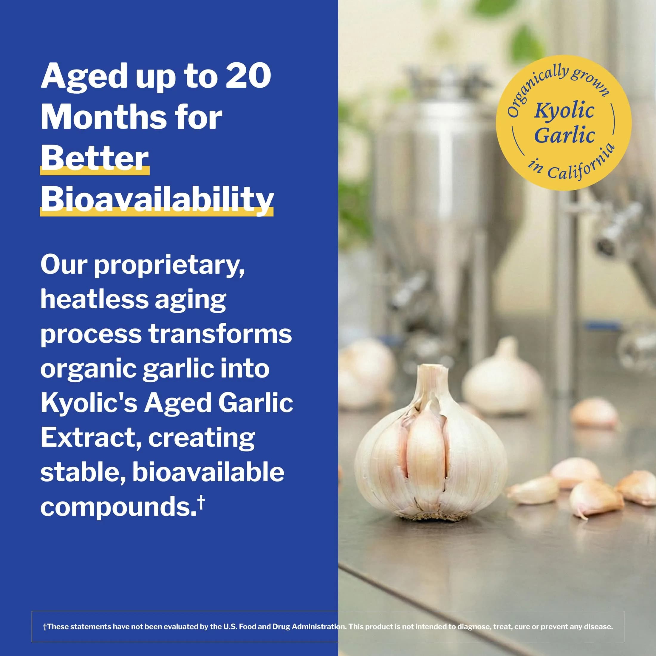 Kyolic Aged Garlic Extract Cholesterol Health Formula 104, 300 Capsules | Supports Healthy Cholesterol Levels - view 6