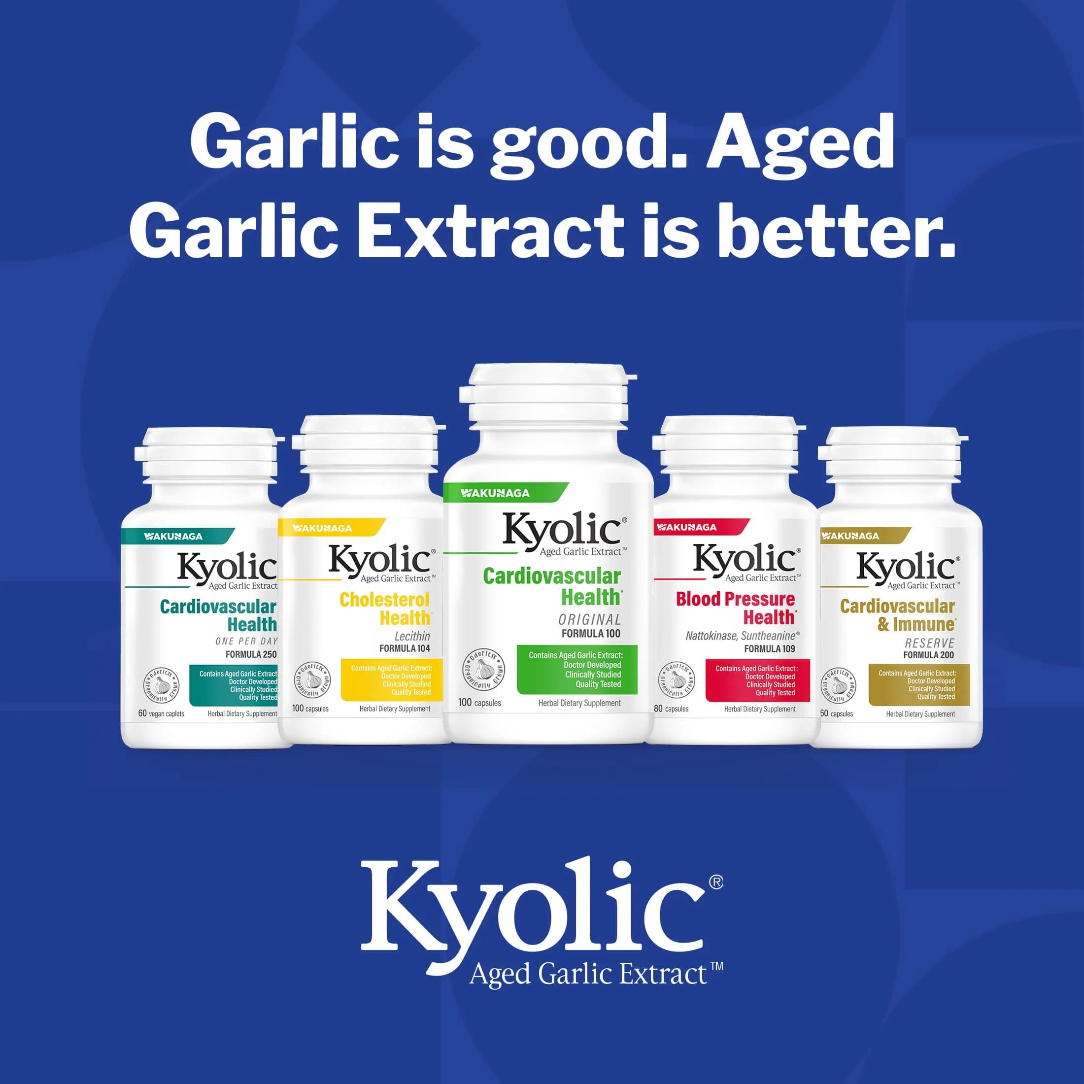 Kyolic Aged Garlic Extract Cholesterol Health Formula 104, 300 Capsules | Supports Healthy Cholesterol Levels - view 8