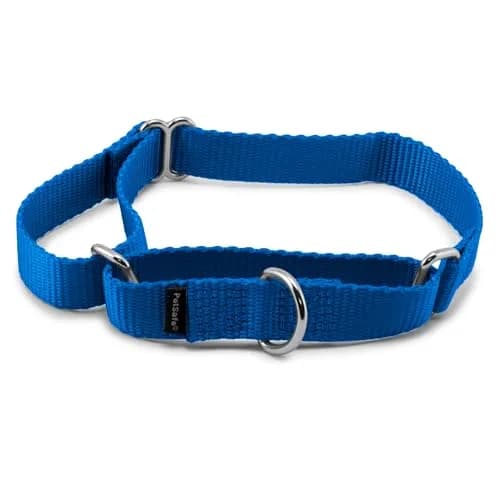 PetSafe Martingale Dog Collar Royal Blue 1.9cm (3/4 in) | Prevents Escape & Offers Control thumbnail 1