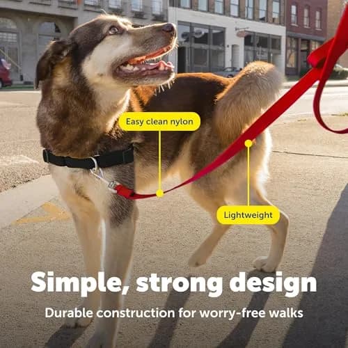 PetSafe Nylon Dog Leash - Strong, Durable, Traditional Style with Easy Bolt Snap - 1 in. x 6 ft., Red thumbnail 4
