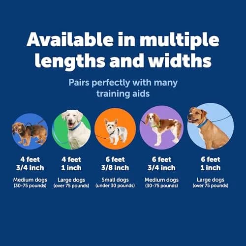 PetSafe Nylon Dog Leash - Strong, Durable, Traditional Style with Easy Bolt Snap - 1 in. x 6 ft., Red thumbnail 5