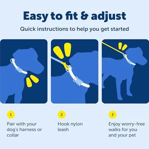 PetSafe Nylon Dog Leash - Strong, Durable, Traditional Style with Easy Bolt Snap - 1 in. x 6 ft., Red thumbnail 6