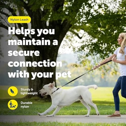 PetSafe Nylon Dog Leash - Strong, Durable, Traditional Style with Easy Bolt Snap - 1 in. x 6 ft., Red thumbnail 2
