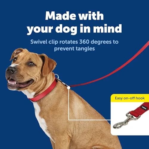 PetSafe Nylon Dog Leash - Strong, Durable, Traditional Style with Easy Bolt Snap - 1 in. x 6 ft., Red thumbnail 3