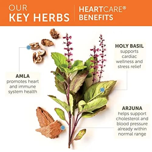 Himalaya HeartCare Cardiovascular Wellness Supplement 720 mg 240 Capsules | Ayurvedic Herbs for Daily Wellness thumbnail 4